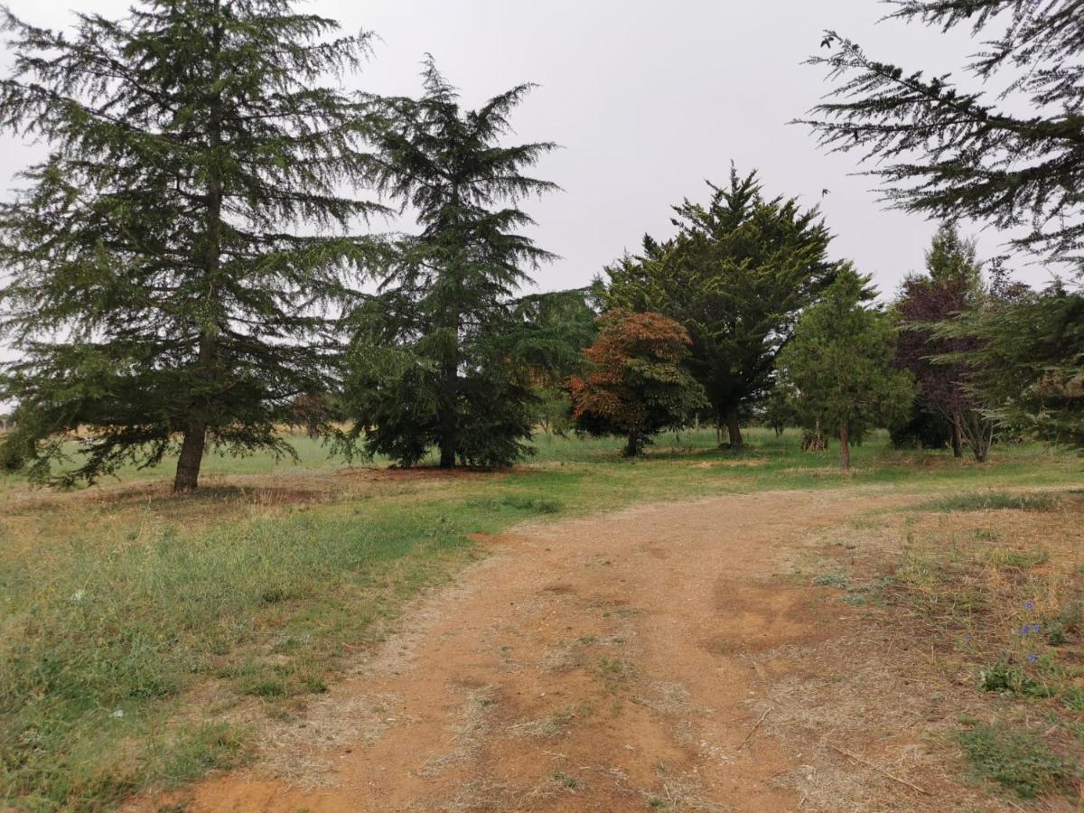 Casa Chalet En El Campo Barbadillo 외부 사진