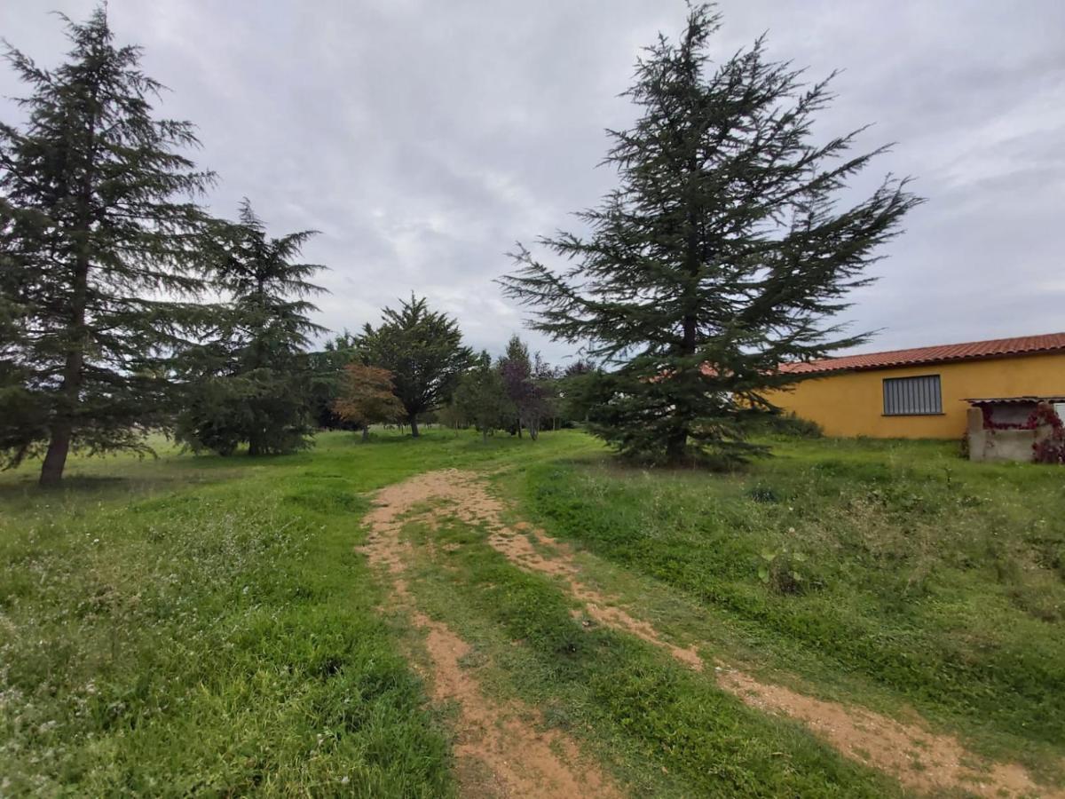 Casa Chalet En El Campo Barbadillo 외부 사진