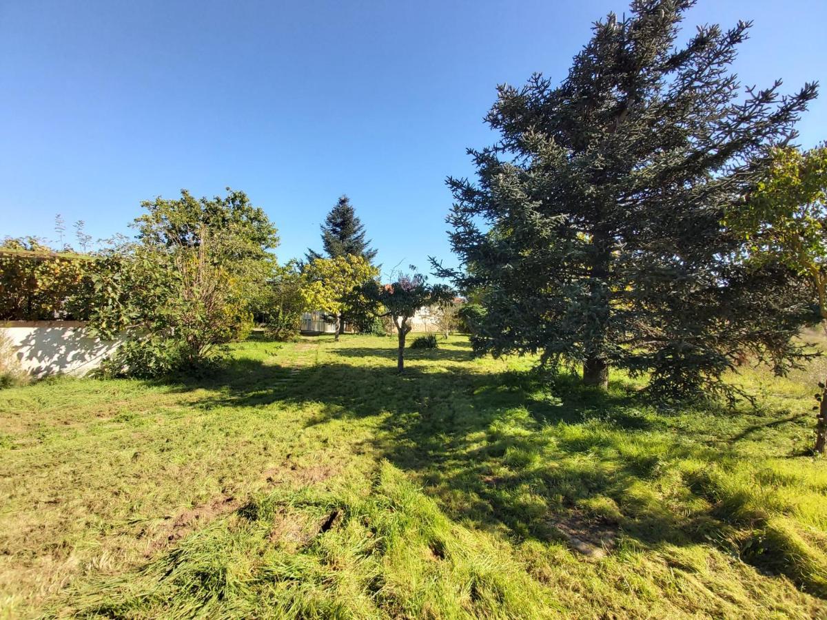 Casa Chalet En El Campo Barbadillo 외부 사진