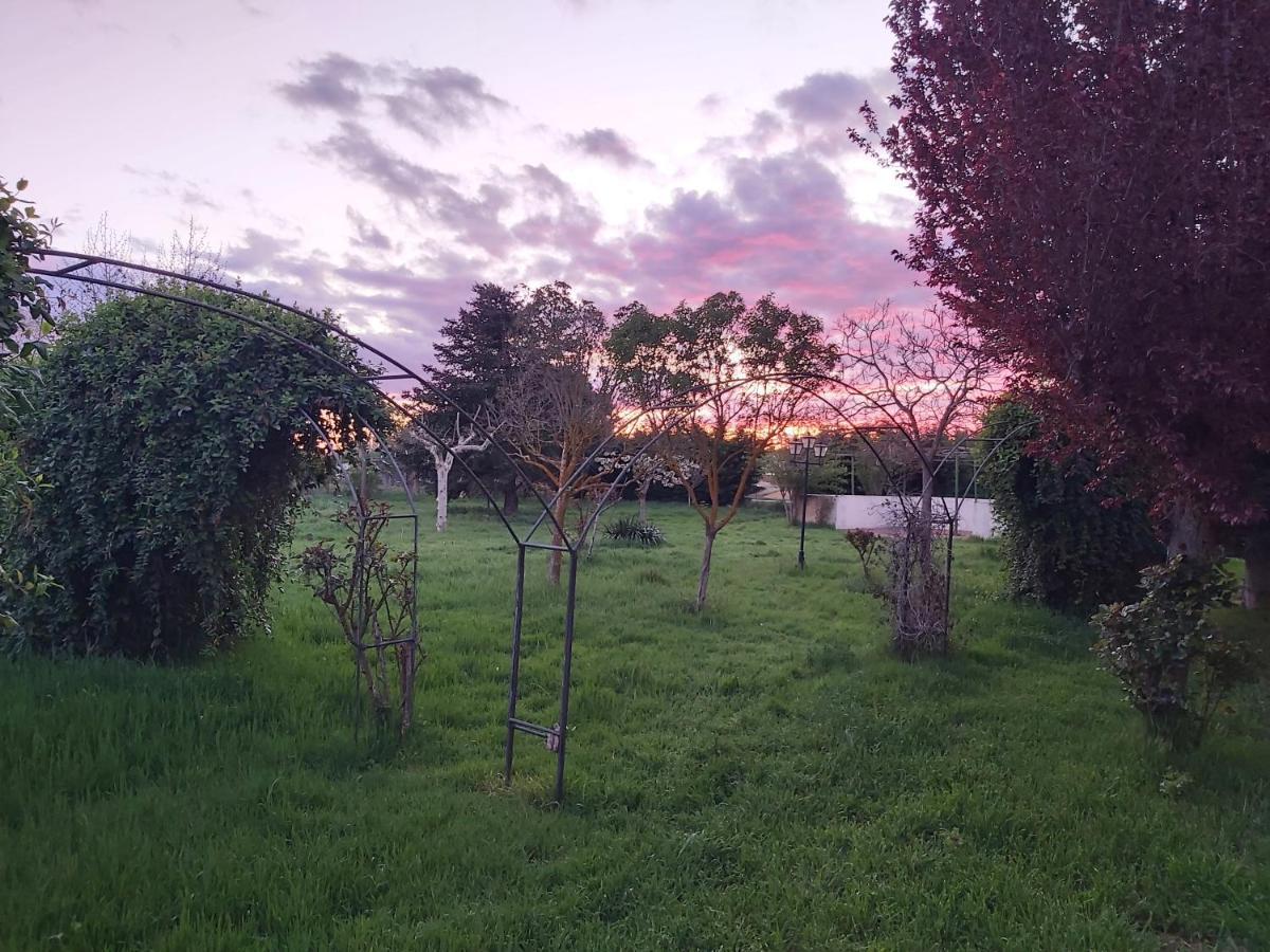 Casa Chalet En El Campo Barbadillo 외부 사진